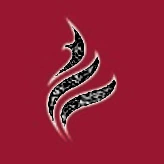 شركة خاصة